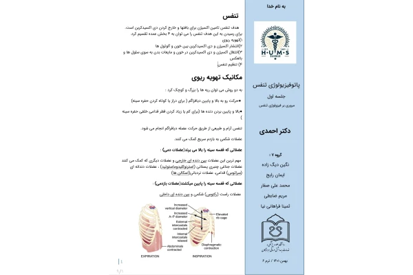 جزوه مروری بر فیزیولوژی تنفس