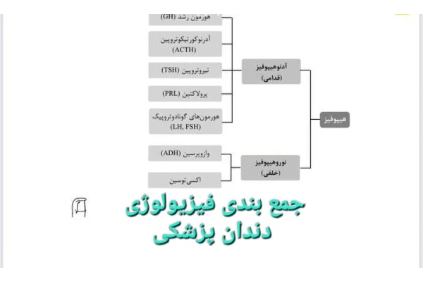 جمع بندی فیزیولوژی دندان پزشکی - ۲۵ صفحه