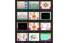 پاورپوینت Endocrine glands