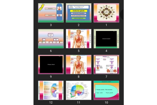 پاورپوینت Endocrine glands