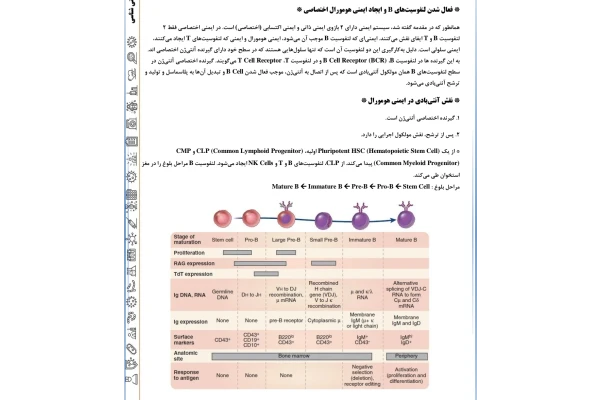 جزوه ایمنی هومورال