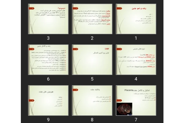 پاورپوینت رشد و نمو جنین
