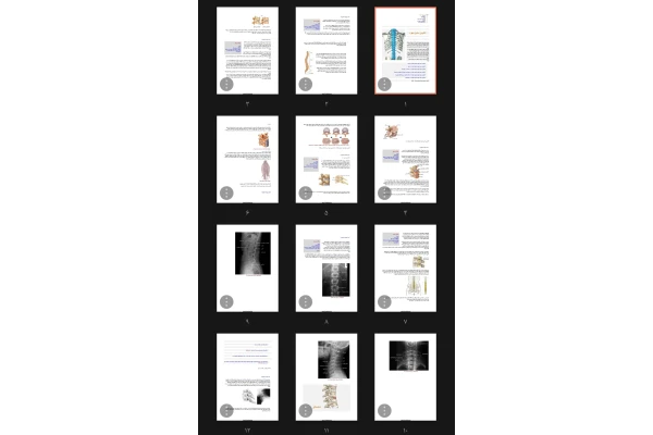 جزوه آناتومی ستون مهره ها