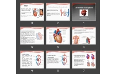 پاورپوینت Cardiovascular system