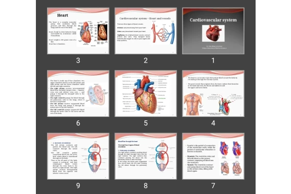 پاورپوینت Cardiovascular system