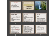 پاورپوینت Wilson Diseases