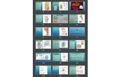 پاورپوینت The Cranial Nerve Nuclei and Their Central