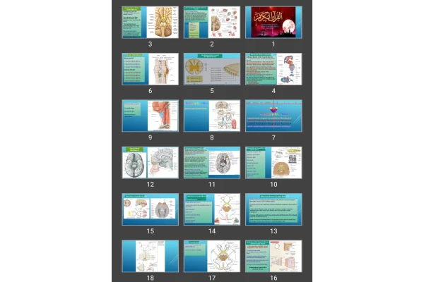 پاورپوینت The Cranial Nerve Nuclei and Their Central