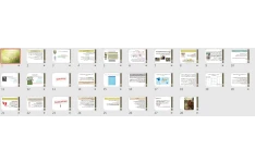 پاورپوینت بررسی اپیدمیولوژیکی بیماری تب مالت(بروسلوزیس)