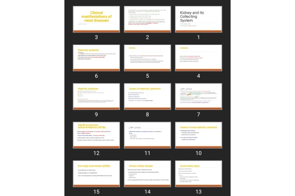 پاورپوینت Kidney and Its Collecting System