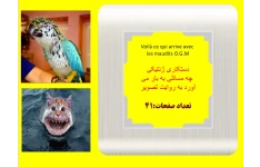 دستکاری ژنتیکی   چه مسائلی به بار می آورد به روایت تصویر  تعداد صفحات:41