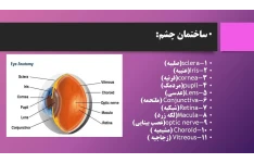   پاورپوینت با عنوان ترمینولوژی و بیماری های چشم