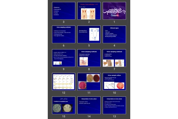 پاورپوینت  Urinary Tract Infection blood culture