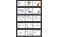 پاورپوینت Gene and Gene Mutation