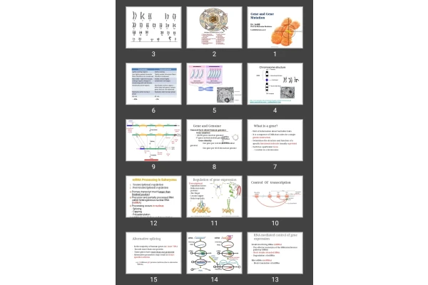 پاورپوینت Gene and Gene Mutation