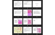 پاورپوینت Bones & Joints