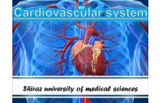   پاورپوینت با موضوع ترمینولوژی دستگاه قلب و عروق (Cardiovascular Terminology)