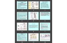 پاورپوینت Hypersensitivity and Allergy