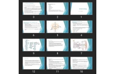 پاورپوینت Endocrinology