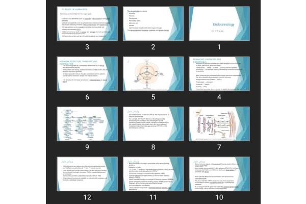 پاورپوینت Endocrinology