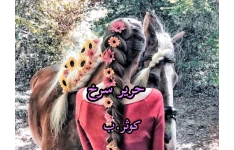 رمان حریر سرخ / نسخه کامل