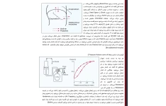 جزوه آناتومی و فیزیولوژی ریه بخش دوم