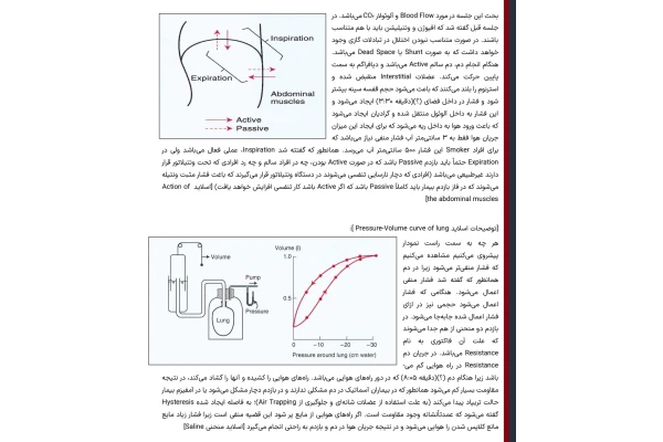 جزوه آناتومی و فیزیولوژی ریه بخش دوم