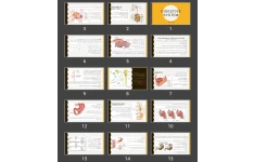 پاورپوینت digestive system