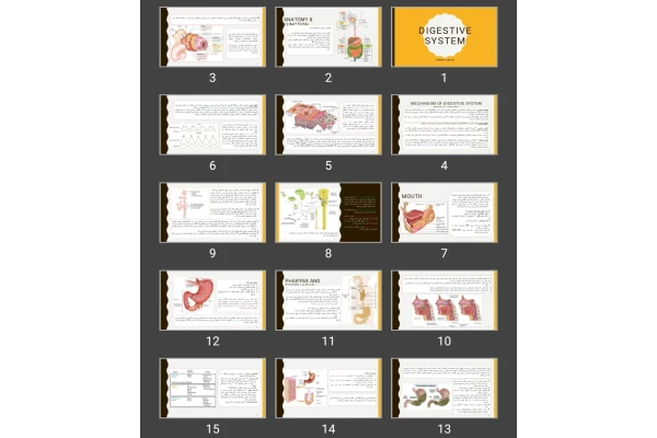 پاورپوینت digestive system