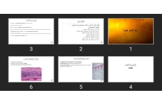 پاورپوینت آشنایی با بافت غضروفی و استخوانی