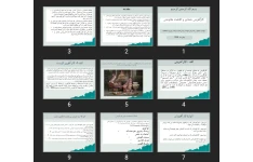 پاورپوینت کارآفرینی؛ عشایر و اقتصاد مقاومتی