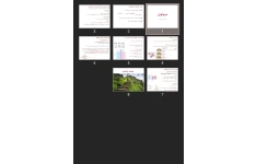 پاورپوینت سرولوژی