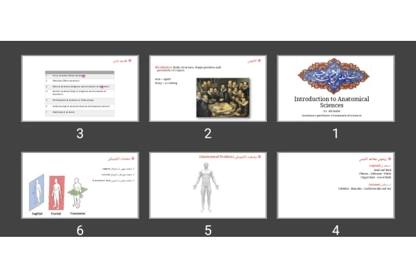 پاورپوینت Introduction to Anatomical Sciences