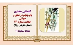 پاورپوینت داستان طوطی و زاغ از گلستان سعدی  باب پنجم در عشق و جوانی