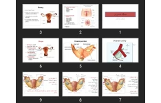 پاورپوینت دستگاه تناسلی زن