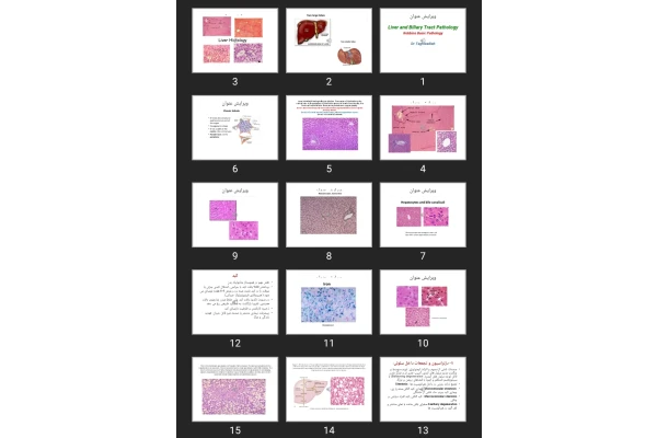 پاورپوینت  Liver and Biliary Tract Pathology Robbins Basic Pathology