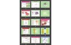 پاورپوینت فیزیولوژی کلیه Med renal Physiology