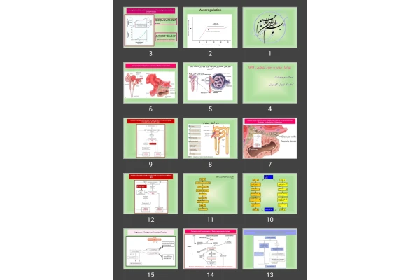 پاورپوینت فیزیولوژی کلیه Med renal Physiology