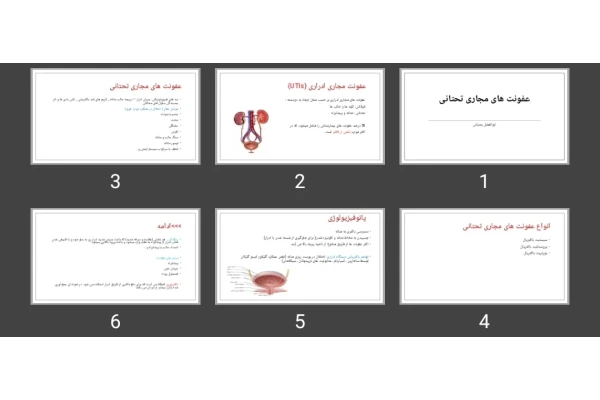 پاورپوینت عفونت های مجاری تحتانی
