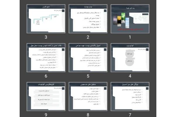 پاورپوینت آماده سازی پوست و پرپ کردن