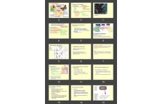 پاورپوینت Classification of Bacteria