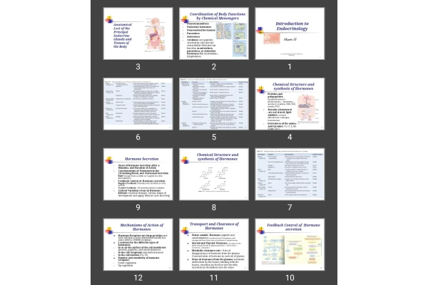 پاورپوینت Introduction to Endocrinology