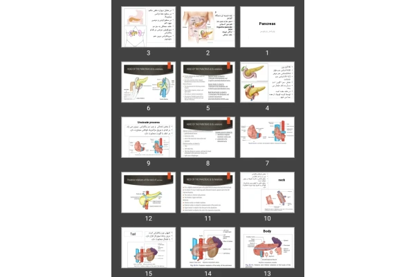 پاورپوینت کبد و پانکراس Pancreas