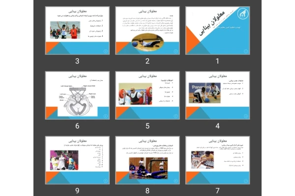 پاورپوینت معلولان بینایی