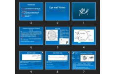 پاورپوینت Eye and Vision
