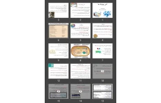 پاورپوینت آنتی بیوتیک ها