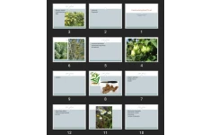پاورپوینت Gasterointestinal Tract