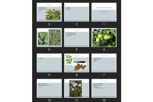 پاورپوینت Gasterointestinal Tract