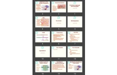 پاورپوینت PITUITARY GLAND AND HYPOTHALAMUS