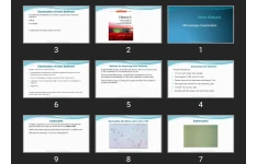 پاورپوینت Urine Alalysis Microscopic